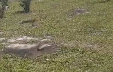 Imagem 1: VENDO TERRENO EM PANAQUATIRA