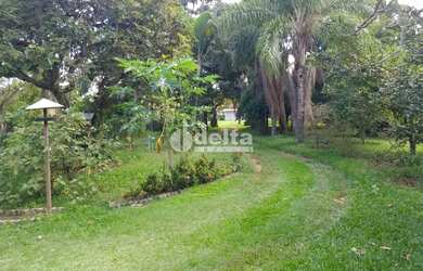 Imagem 5: Chácara Residencial disponível para Venda no bairro Panorama em Uberlândia-MG