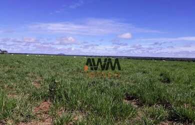 Imagem 7: Fazenda à venda, 501 alqueires por R$ 90.180.000 - Centro - Porangatu/GO