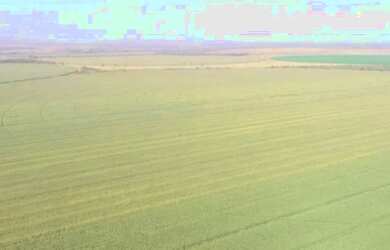 Imagem 2: Fazenda em Paracatu-MG, 2.200 hectares