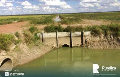 Imagem 15: Fazenda de projeto irrigado por controle de lençol freático na Lagoa...