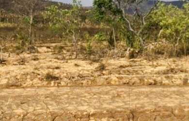 Imagem 6: Fazenda 2.350 ALQ, Paranã - TO