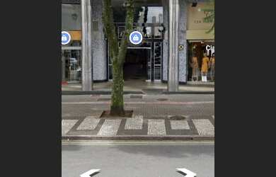 Imagem 4: Apartamento com 120 m2