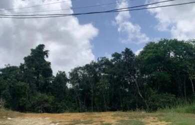 Imagem 2: Oportunidade lote/terreno a venda em Alphaville Salvador I