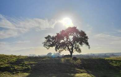 Imagem 2: Lote/Terreno para venda tem 1000 metros quadrados em Recreio Marajoara...