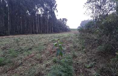 Imagem: A chácara possui 29.342m² de Área e está localizado em