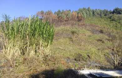 Imagem: A chácara possui 3.500m² de Área e está localizado em Almirante