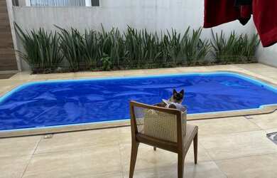 Imagem 1: Alugo casa no Caledônia. Piscina, Churrasqueira, Área de serviçoe2...