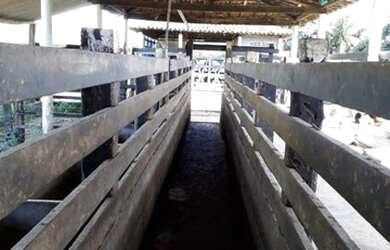 Imagem 2: Fazenda para Venda em Passo de Camaragibe, Zona Rural