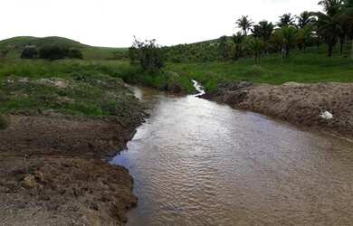 Imagem 4: Fazenda para Venda em Passo de Camaragibe, Zona Rural
