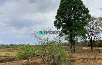 Imagem 16: FAZENDA À VENDA - 275 HECTARES - REGIÃO DE CURVELO MG