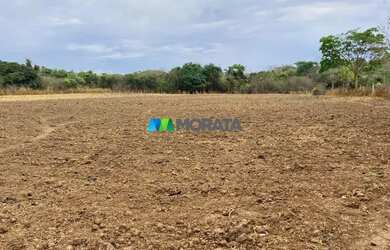 Imagem 15: FAZENDA À VENDA - 275 HECTARES - REGIÃO DE CURVELO MG