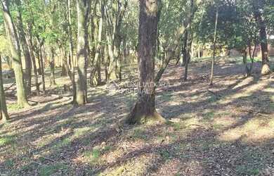 Imagem 16: Terreno em Caxias do Sul - São Virgílio