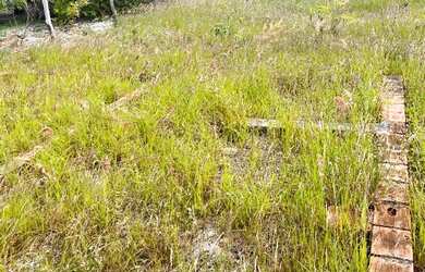 Imagem: O terreno possui 315m² de Área e está localizado em Santo