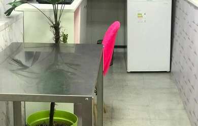 Imagem 3: Alugo ou Passo o Ponto Banho e Tosa + Consultório Veterinário - Bela Vista/Centro 90m²