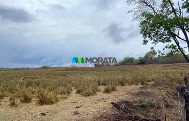Imagem 7: FAZENDA À VENDA - 275 HECTARES - REGIÃO DE CURVELO MG