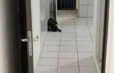 Imagem: A casa possui 1 Dormitório, 1 Banheiro, 35m² de Área e está