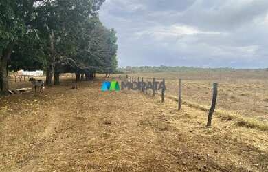 Imagem 2: FAZENDA À VENDA - 275 HECTARES - REGIÃO DE CURVELO MG