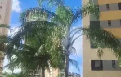 Imagem: O apartamento possui 3 Dormitórios, 2 Banheiros, 2 Vagas na