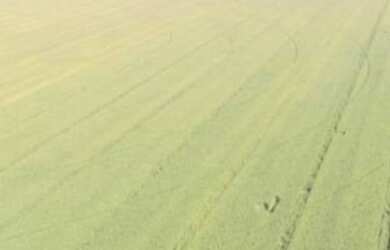 Imagem 11: Fazenda em Paracatu-MG, 2.200 hectares