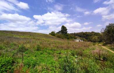 Imagem: A fazenda possui 21.000m² de Área e está localizado em Pacotuba