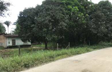 Imagem 3: VENDO OU TROCO TERRENO EM ROSÁRIO/MA