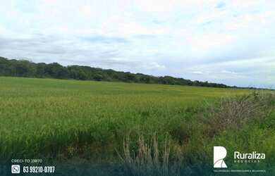 Imagem 12: Fazenda de projeto irrigado por controle de lençol freático na Lagoa...