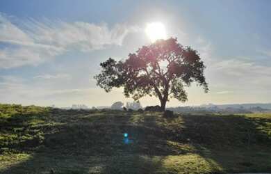Imagem 5: Lote/Terreno para venda tem 1000 metros quadrados em Recreio Marajoara...