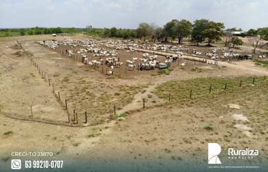 Imagem 9: Fazenda com 4.602,69 hectares e alto potencial para agricultura na região...