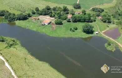 Imagem: Excelente fazenda na Região de JAGUARIÚNA - SP / HOLAMBRA