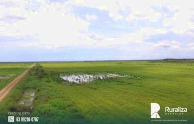 Imagem 4: Fazenda de projeto irrigado por controle de lençol freático na Lagoa...