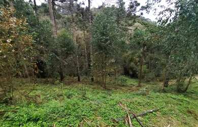 Imagem 2: Terreno a venda. 5.340m² de Área