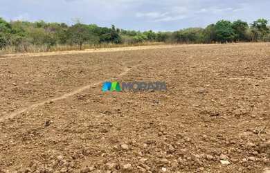 Imagem 14: FAZENDA À VENDA - 275 HECTARES - REGIÃO DE CURVELO MG