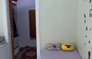 Imagem 8: Imóvel para venda tem 550 metros quadrados com 4 quartos em Boa Vista - Vitória da Conquis