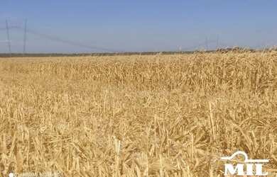 Imagem 10: Fazenda Agrícola em Pedro Afonso-TO. gt 445 Alq. 2.154Há