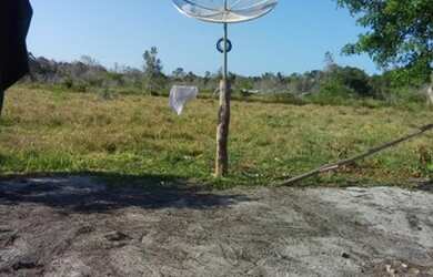 Imagem 8: FAZENDA RURAL em SANTA CRUZ CABRÁLIA - BA, R. Estr. Velha