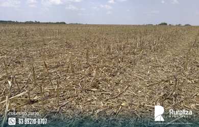 Imagem 4: Fazenda com 4.602,69 hectares e alto potencial para agricultura na região...
