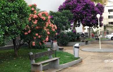 Imagem 3: Apto 2 4 Em frente para avenida Condomínio Quinta da Boa Vista