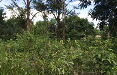 Imagem 13: VENDO OU TROCO TERRENO EM ROSÁRIO/MA