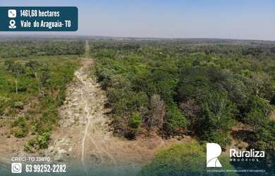 Imagem: Fazenda no Vale do Araguaia -TO para exploração agrícola