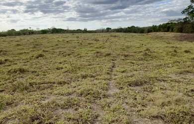 Imagem: A fazenda e está localizado em Niquelândia, GO à venda por