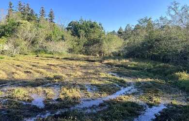 Imagem 13: Sítio Plano E Com Nascente Para Fazer Açude. ROB:364