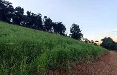 Imagem: O terreno à venda possui e está localizado em Vila Santista