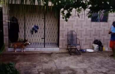 Imagem: A casa para alugar possui 2 Dormitórios e 2 Banheiros e está