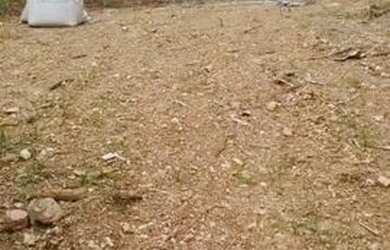 Imagem: O terreno possui 270m² de Área e está localizado em Bosque