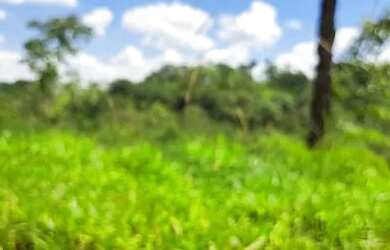 Imagem: A chácara possui 1000m² de Área e está localizado em Jardim