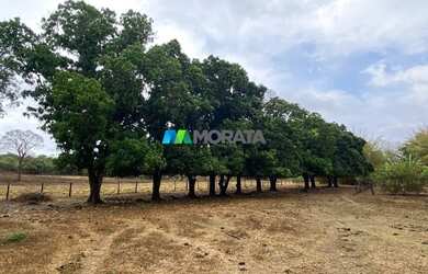 Imagem 10: FAZENDA À VENDA - 275 HECTARES - REGIÃO DE CURVELO MG