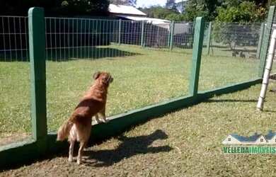 Imagem: A fazenda possui 1.000m² de Área, Imóvel novo e está localizado