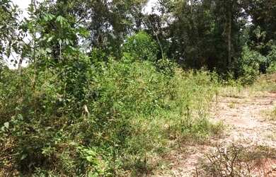 Imagem 6: Terreno em Paraju - Domingos Martins, 2.000 m²