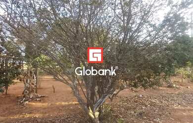 Imagem 4: Chácara em Bocaiúva, no bairro Zona Rural, à venda